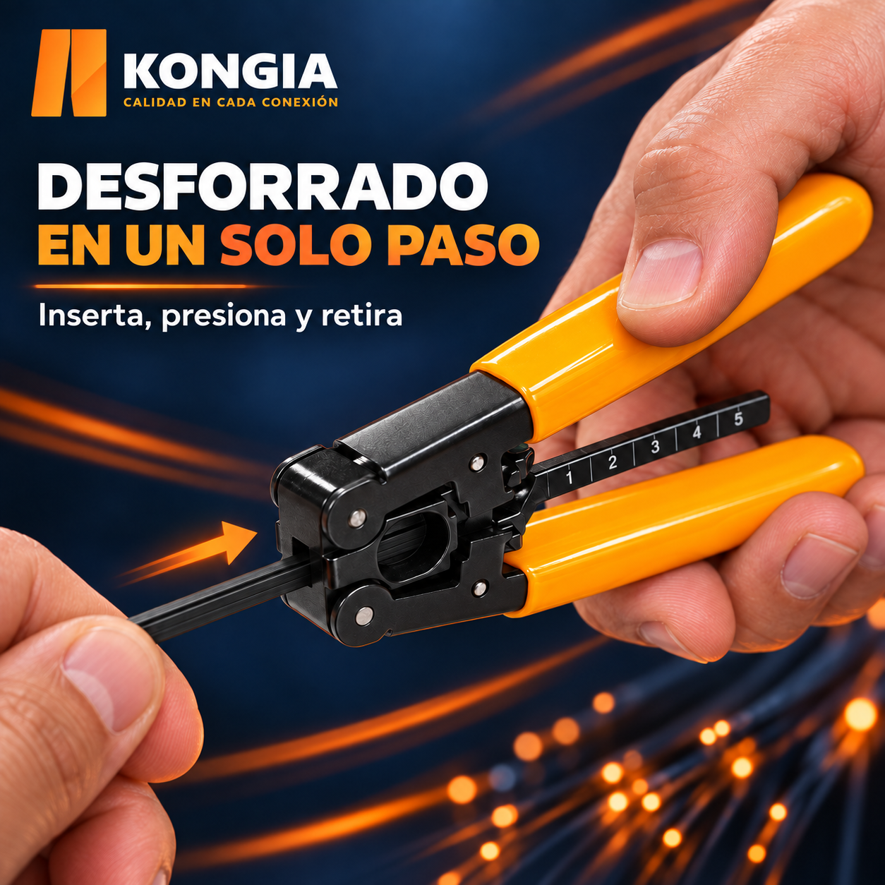 KG-FT-DFS - Imagen 2